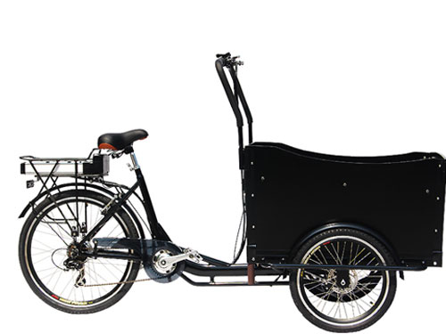 Electric Tricycle and Electric
                                Cargo Trike